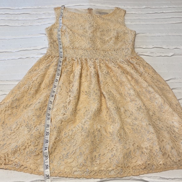 Peach and silver lace LOFT dress with belt - Picture 6 of 6